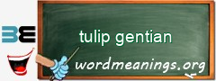 WordMeaning blackboard for tulip gentian